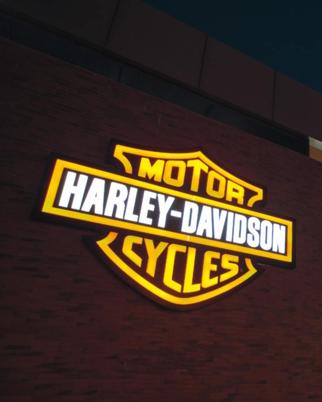 Design sem nome (26)